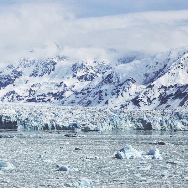 Kleinjan Logo Design